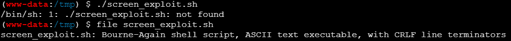image-20260225232447504