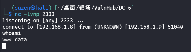 image-20260226141326633