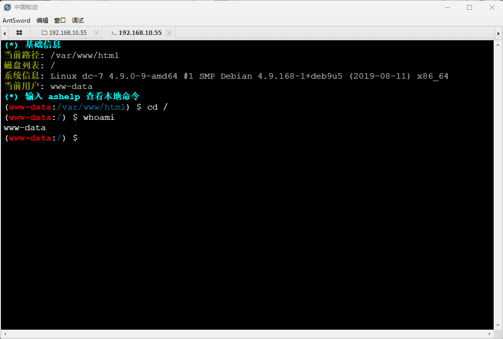 image-20260228131922639