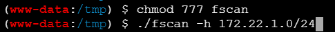 image-20251113114655192