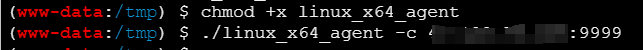 image-20251113134612672