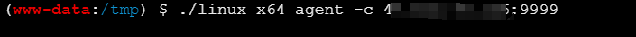 image-20251205181100159